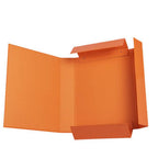 Pryma Cartella con Elastico Piatto 25x35 cm - Organizzatore Documenti, Design Resistente, Colori Moderni (Arancione, D5)