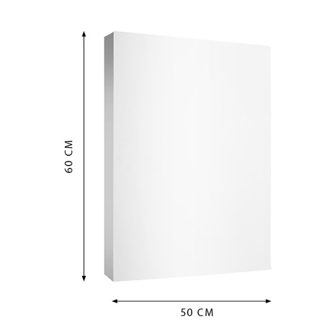 Pryma Tela per Pittura Altezza di 3,6 cm - Tela per Artisti, 100% Cotone, Pronta all'Uso, Ideale per Colori a Olio, Acrilici e Tempere (50x60 cm)