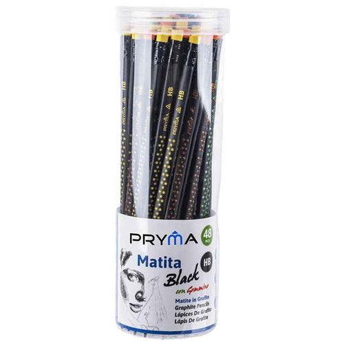 48 Matite HB Grafite con Fusto in Legno Colorato, Confezione Tubo, Portatile e Conveniente, Da disegno con Gommino e Punta già Temperata, Matita Pronta all'uso, Fine Art, Multicolor (Black)