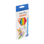 Pryma Confezione 12 Pastelli Colorati – Matite Colorate Esagonali per Scuola, Mina 3.0mm Resistente
